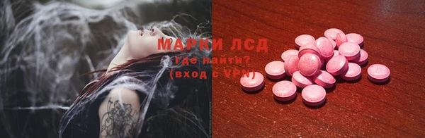 эйфоретик Аркадак