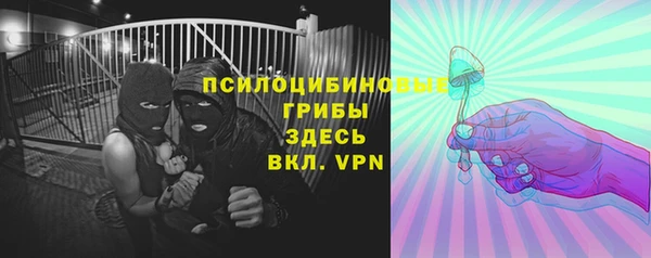 эйфоретик Аркадак