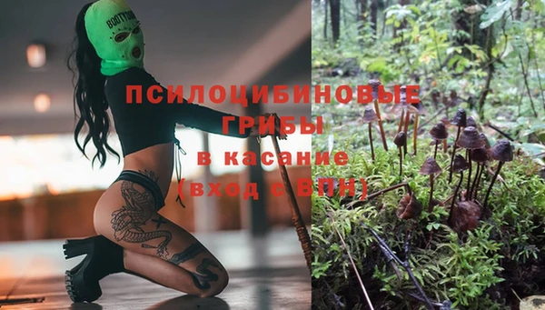 молекула духа Армянск