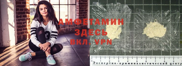 индика Санкт-Петербург