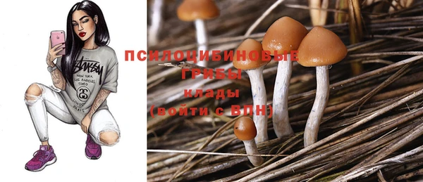 эйфоретик Аркадак