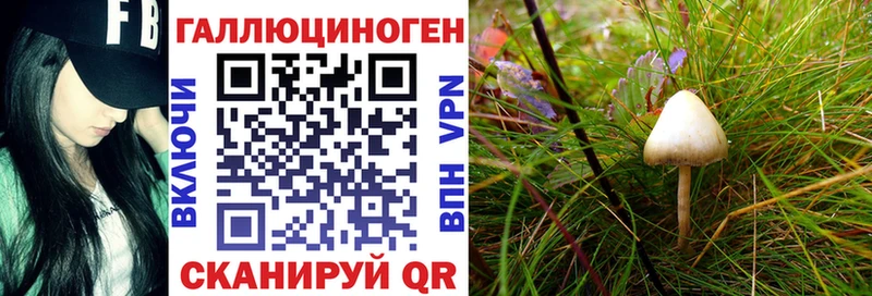 купить наркоту  Артёмовск  Псилоцибиновые грибы Psilocybine cubensis 